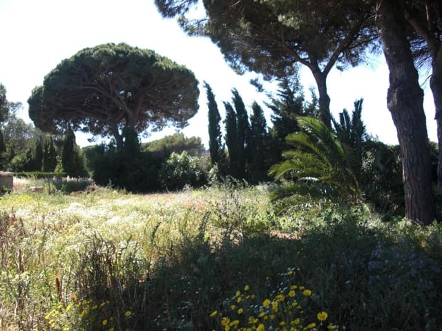 Finca/Country House for sale in Vejer de la Frontera - € 240,000 (Ref: 9502716)