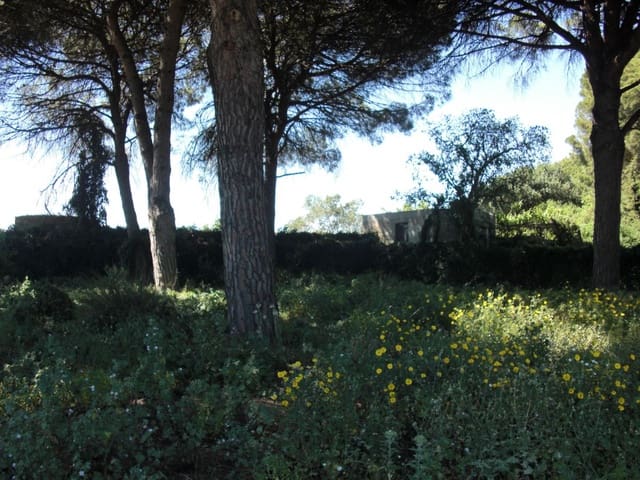 Finca/Country House for sale in Vejer de la Frontera - € 240,000 (Ref: 9502716)