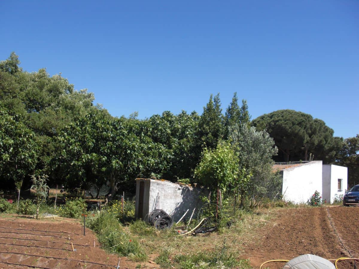 Finca/Country House for sale in Vejer de la Frontera - € 240,000 (Ref: 9502716)