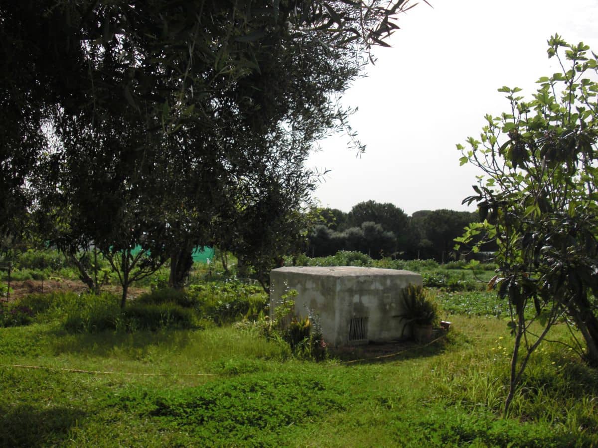 2 slaapkamer Finca/Landhuis te koop in Vejer de la Frontera - € 350.000 (Ref: 9502719)