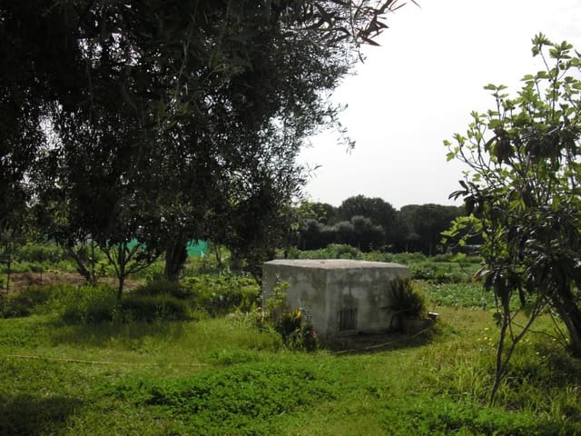 2 slaapkamer Finca/Landhuis te koop in Vejer de la Frontera - € 350.000 (Ref: 9502719)