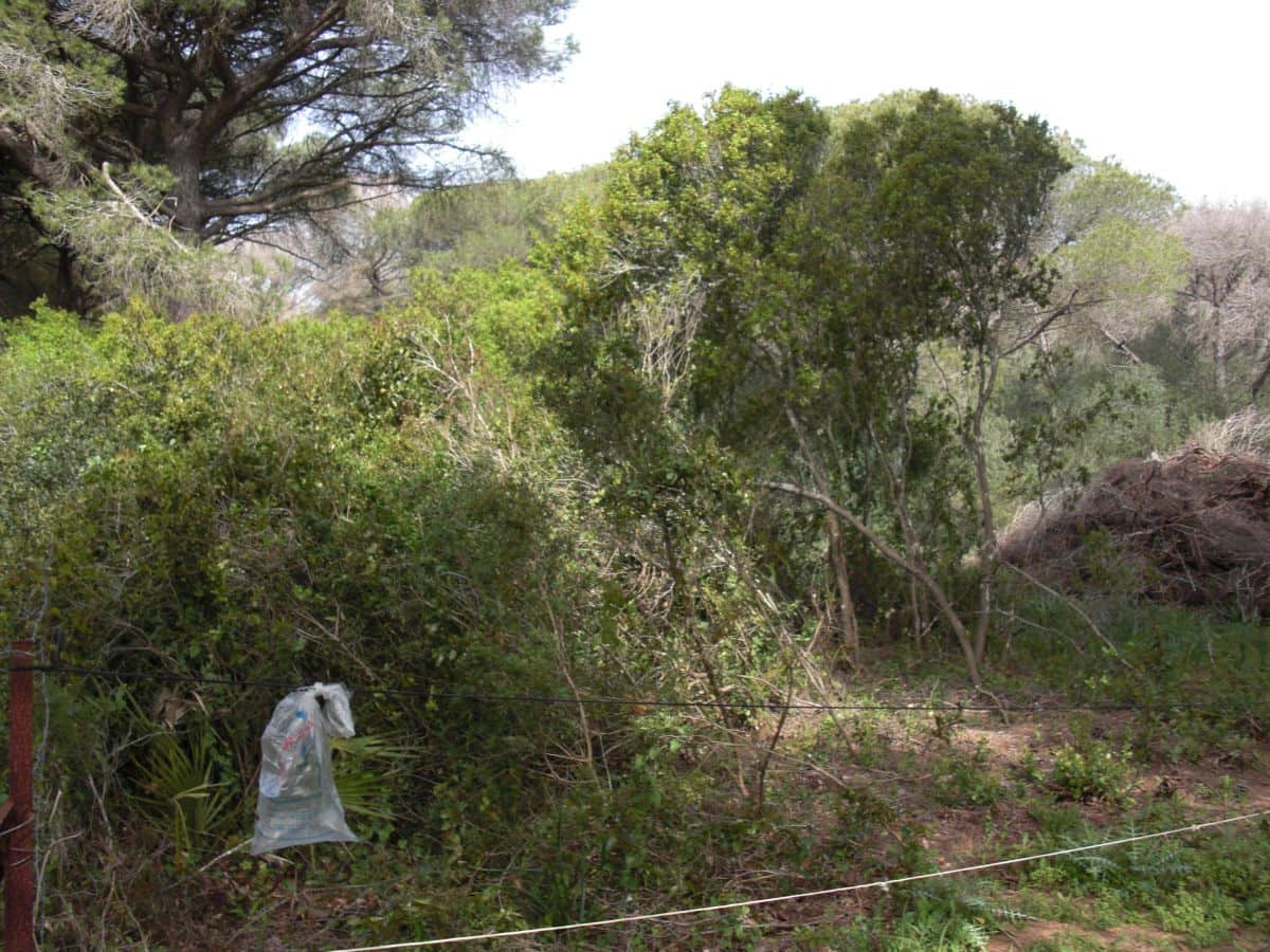 2 slaapkamer Finca/Landhuis te koop in Vejer de la Frontera - € 350.000 (Ref: 9502719)