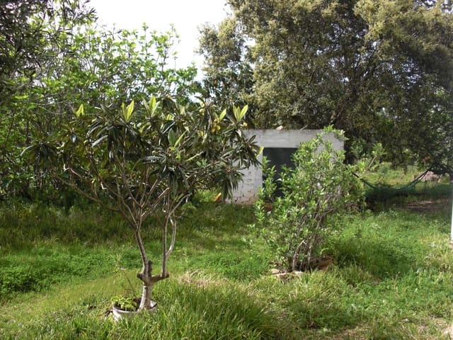 2 slaapkamer Finca/Landhuis te koop in Vejer de la Frontera - € 350.000 (Ref: 9502719)