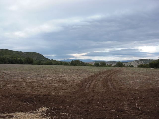 Finca/Country House for sale in Vejer de la Frontera - € 175,600 (Ref: 9502721)
