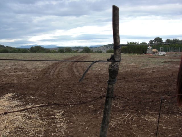 Finca/Country House for sale in Vejer de la Frontera - € 175,600 (Ref: 9502721)