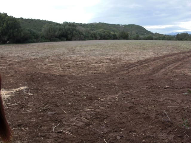 Finca/Country House for sale in Vejer de la Frontera - € 175,600 (Ref: 9502721)