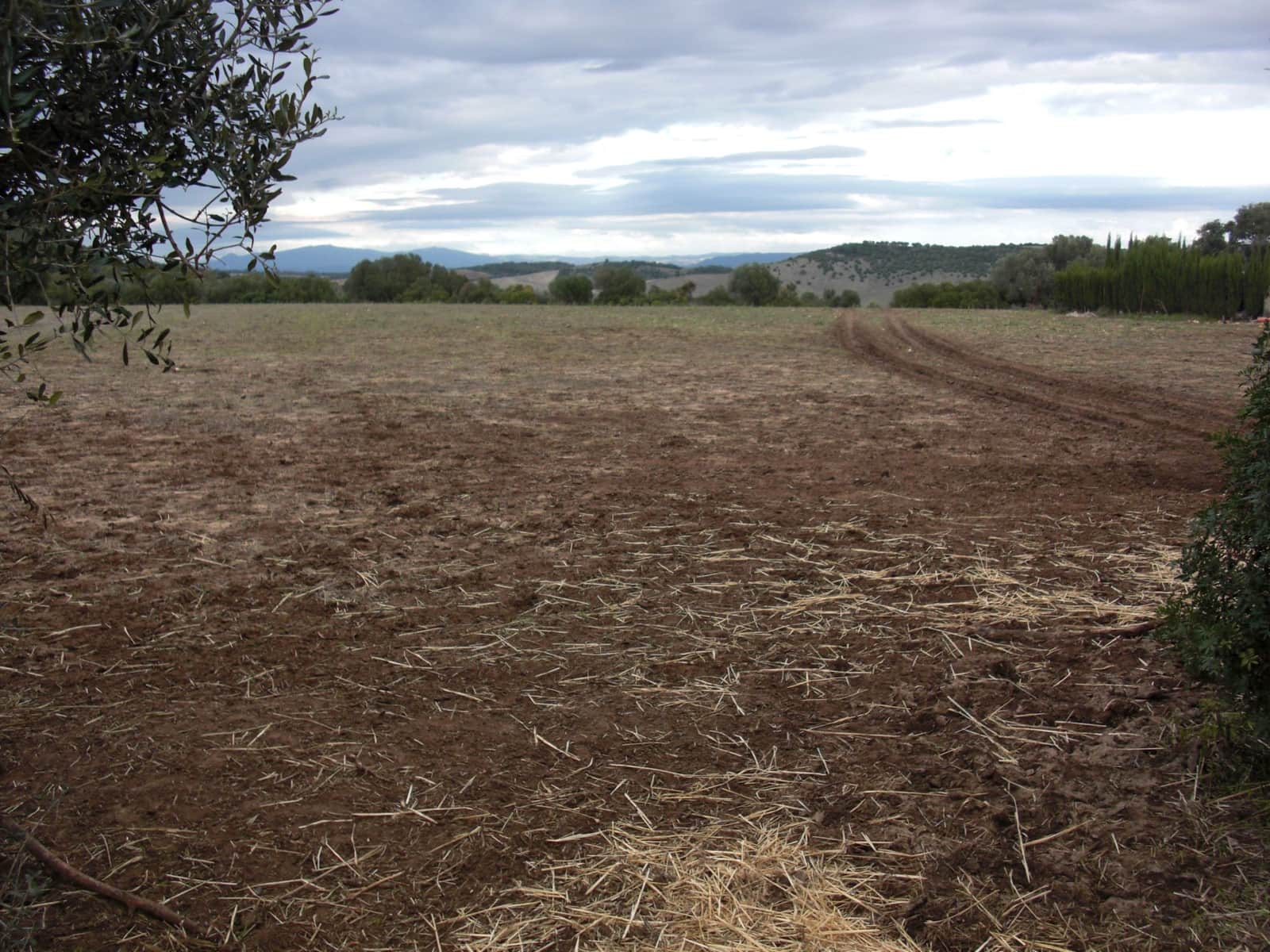 Finca/Country House for sale in Vejer de la Frontera - € 175,600 (Ref: 9502721)