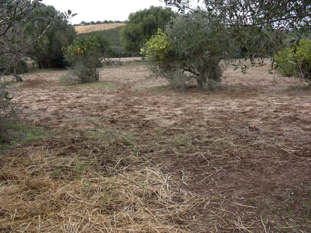 Finca/Country House for sale in Vejer de la Frontera - € 175,600 (Ref: 9502721)