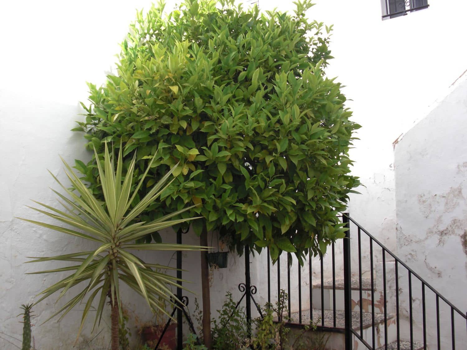 1 bedroom Apartment for sale in Vejer de la Frontera - € 130,000 (Ref: 9502722)