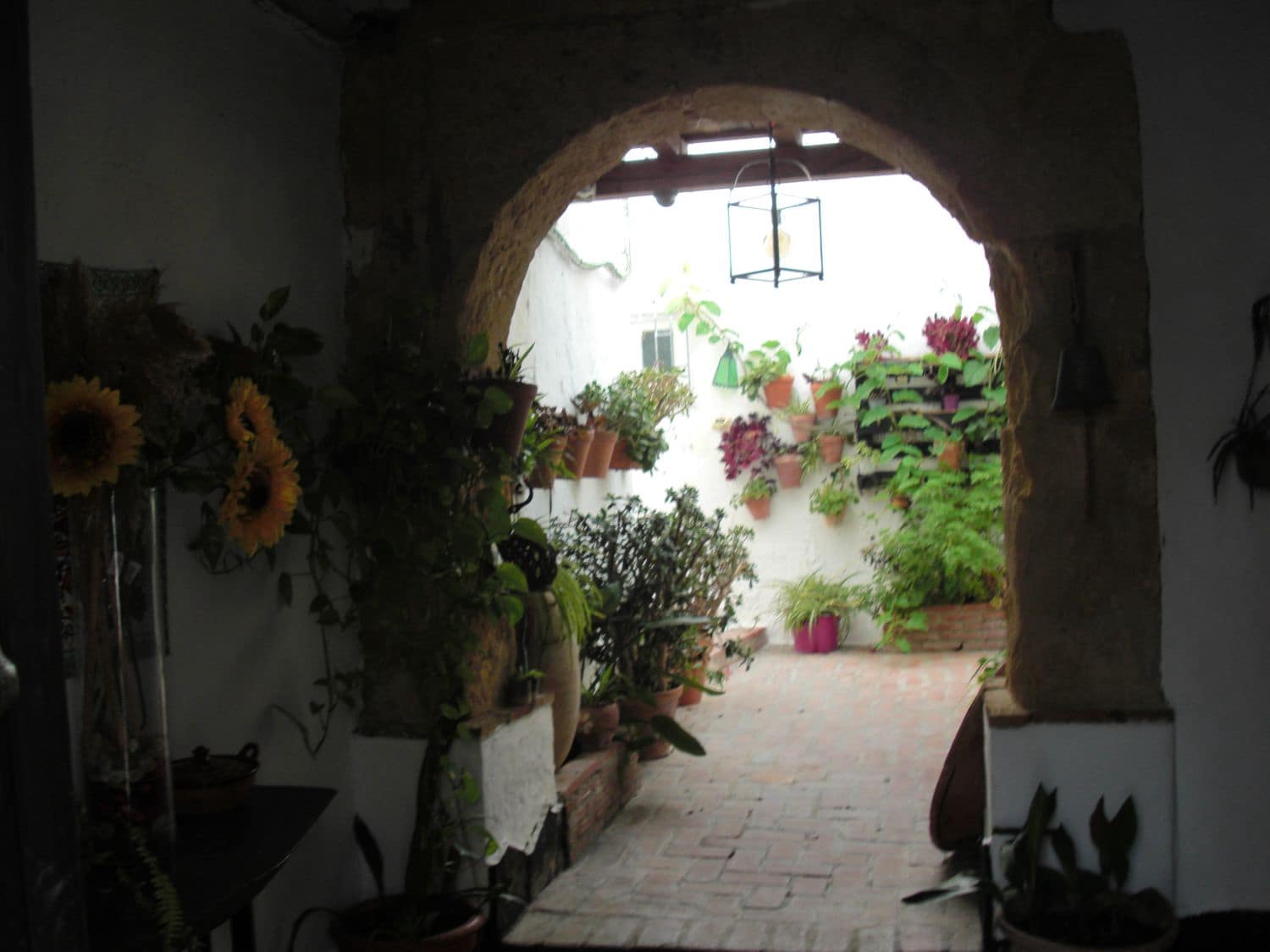 Apartamento de 1 habitación en Vejer de la Frontera en venta - 88.000 € (Ref: 9502725)