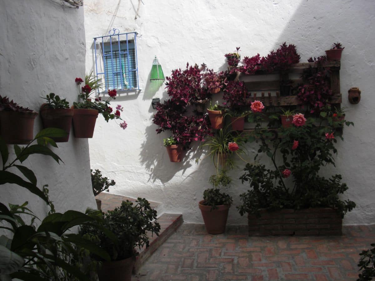 2 bedroom Apartment for sale in Vejer de la Frontera - € 130,000 (Ref: 9502736)