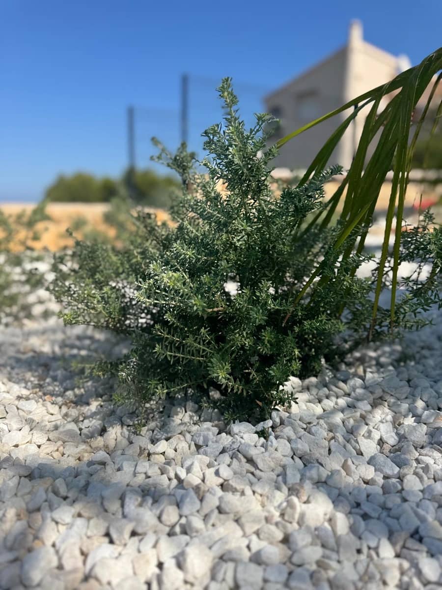 4 soverom Villa til salgs i Denia med svømmebasseng garasje - € 1 550 000 (Ref: 6281420)