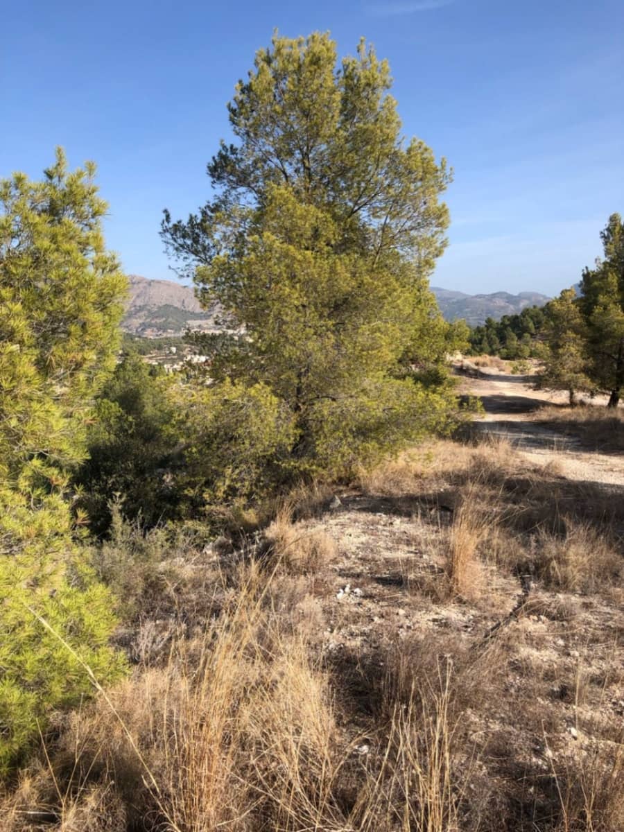 Terreno para Construção para venda em La Nucia - 650 000 € (Ref: 8521121)