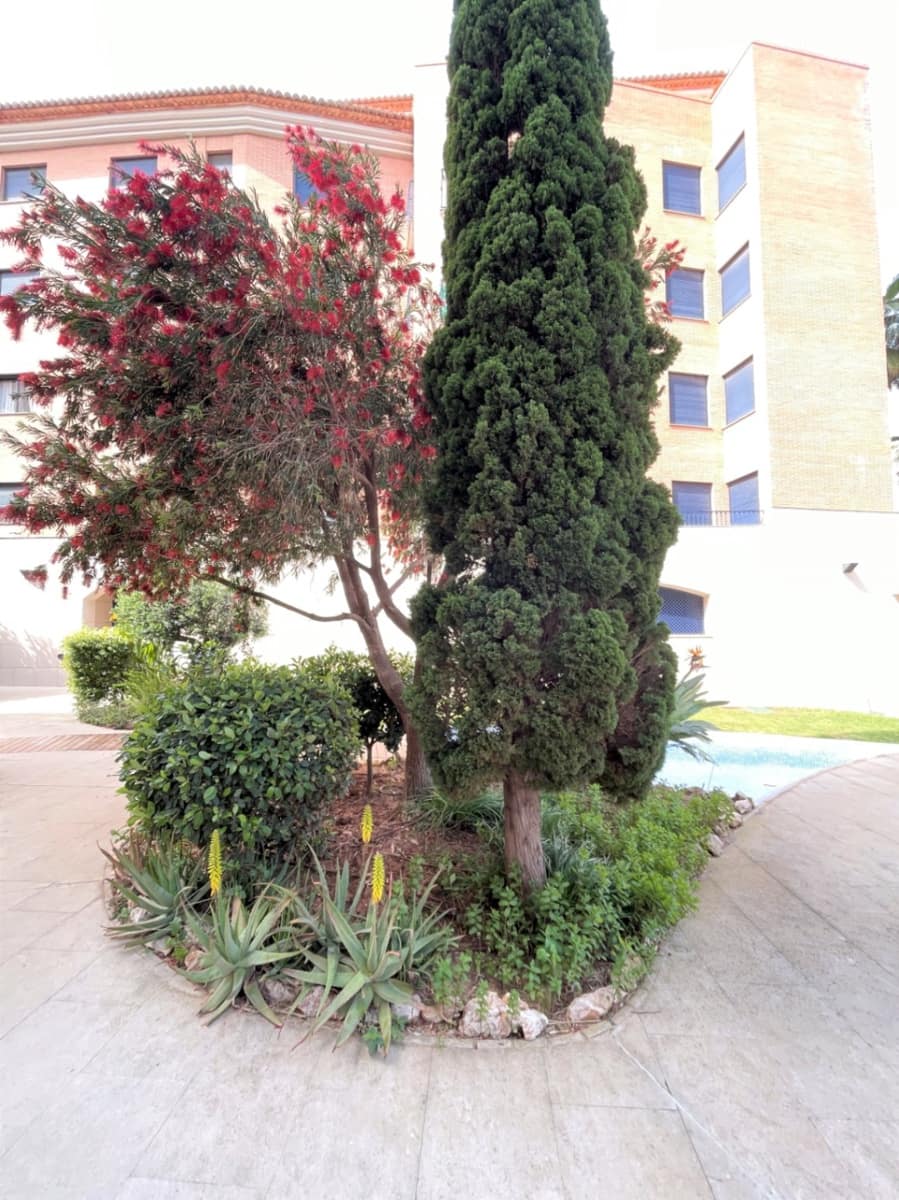 2 soveværelse Lejlighed til salg i Denia med swimmingpool garage - € 349.000 (Ref: 9795703)