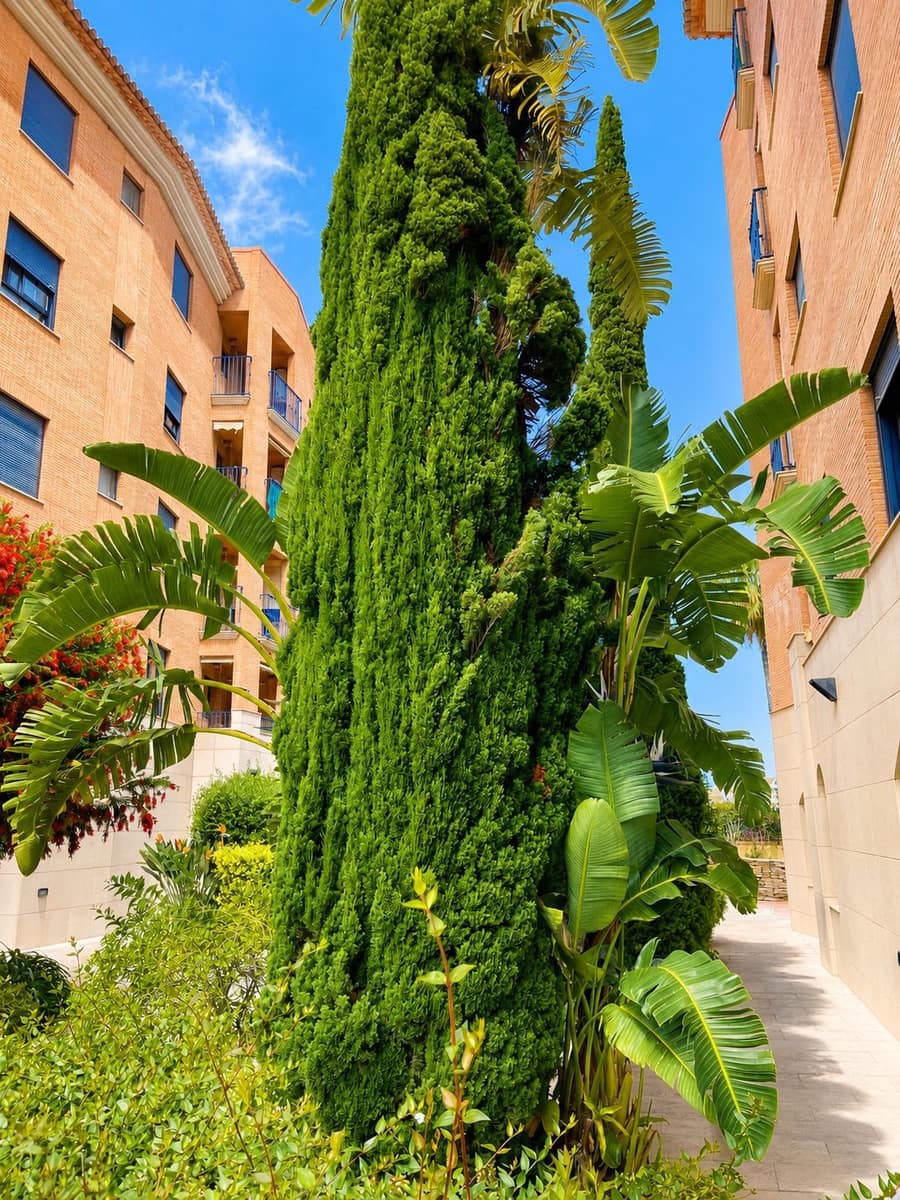 2 bedroom Apartment for sale in Denia with pool garage - € 349,000 (Ref: 9795703)