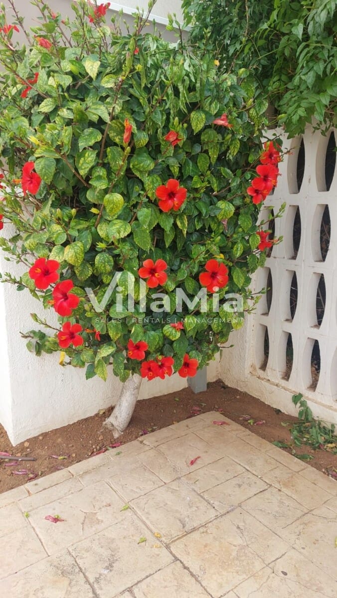 2 camera da letto Appartamento in vendita in Javea / Xabia - 295.000 € (Rif: 9891639)