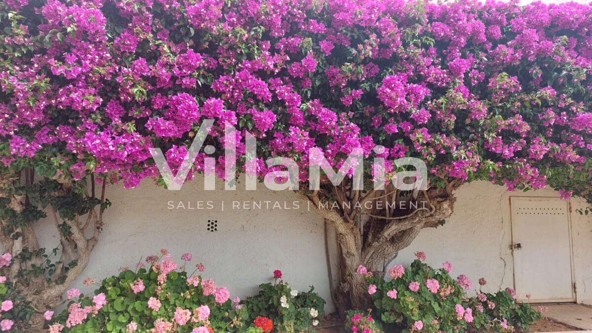 2 camera da letto Appartamento in vendita in Javea / Xabia - 295.000 € (Rif: 9891639)