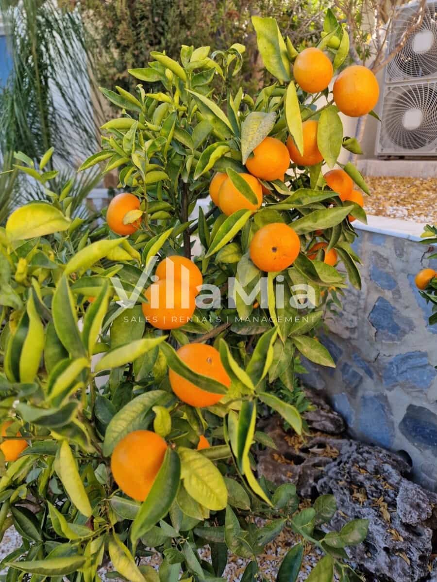 5 chambre Villa/Maison à vendre à Benitachell / Benitatxell avec piscine - 715 000 € (Ref: 9891658)