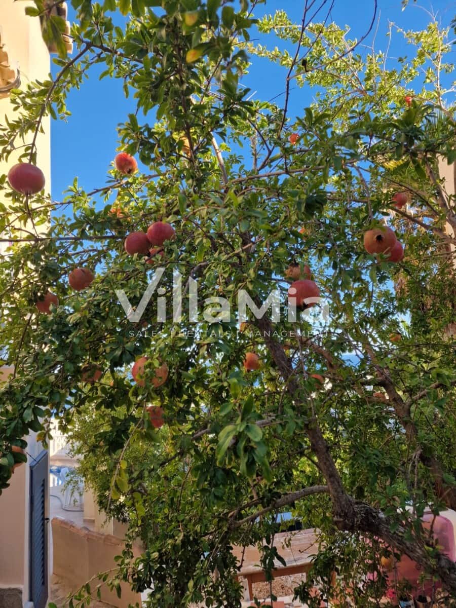 5 chambre Villa/Maison à vendre à Benitachell / Benitatxell avec piscine - 715 000 € (Ref: 9891658)
