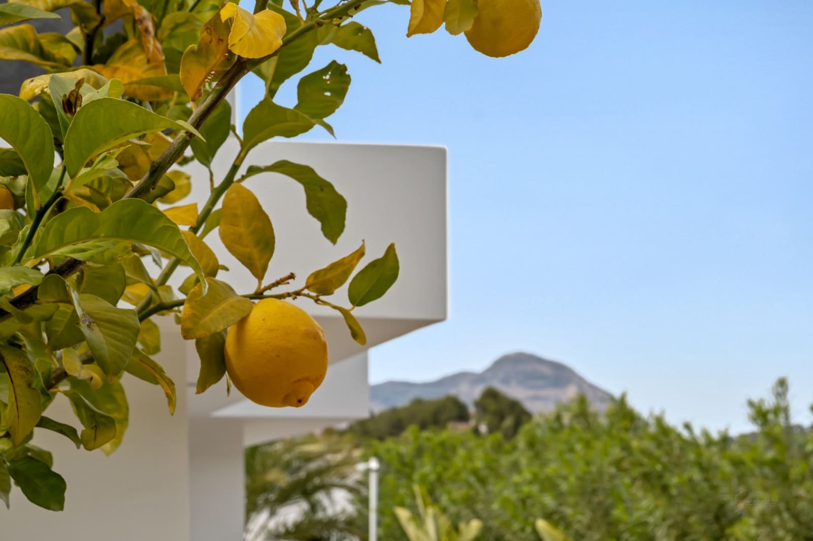 3 soveværelse Villa til salg i Javea / Xabia med swimmingpool garage - € 1.395.000 (Ref: 9997351)