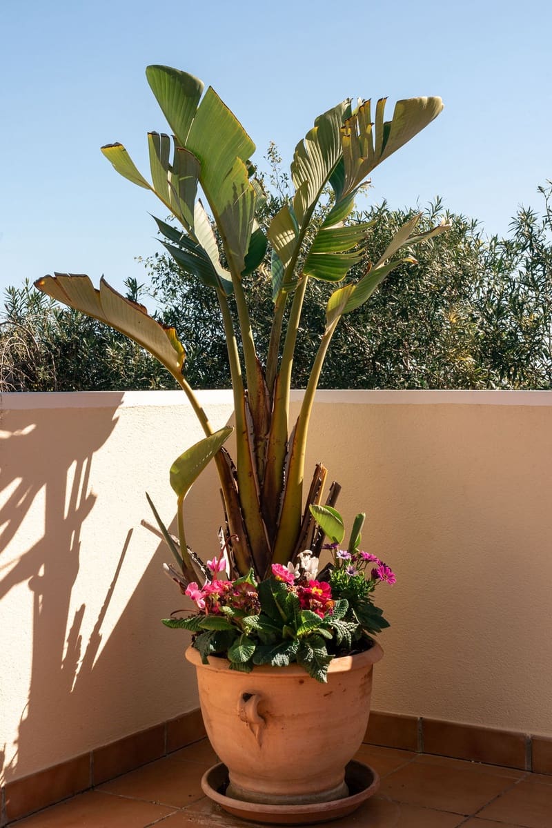 3 soveværelse Villa til salg i Javea / Xabia - € 949.000 (Ref: 9997390)