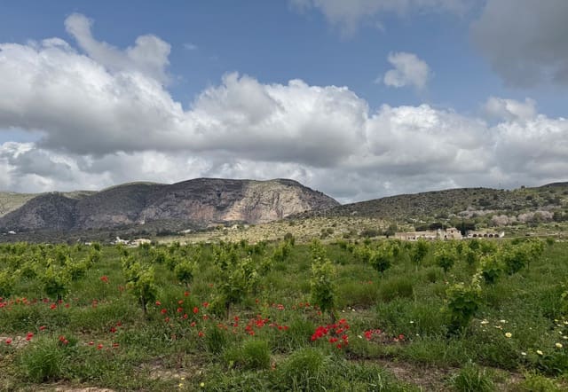 4 slaapkamer Villa te koop in Teulada Pueblo, Teulada-Moraira met zwembad garage - € 499.000 (Ref: 9997394)
