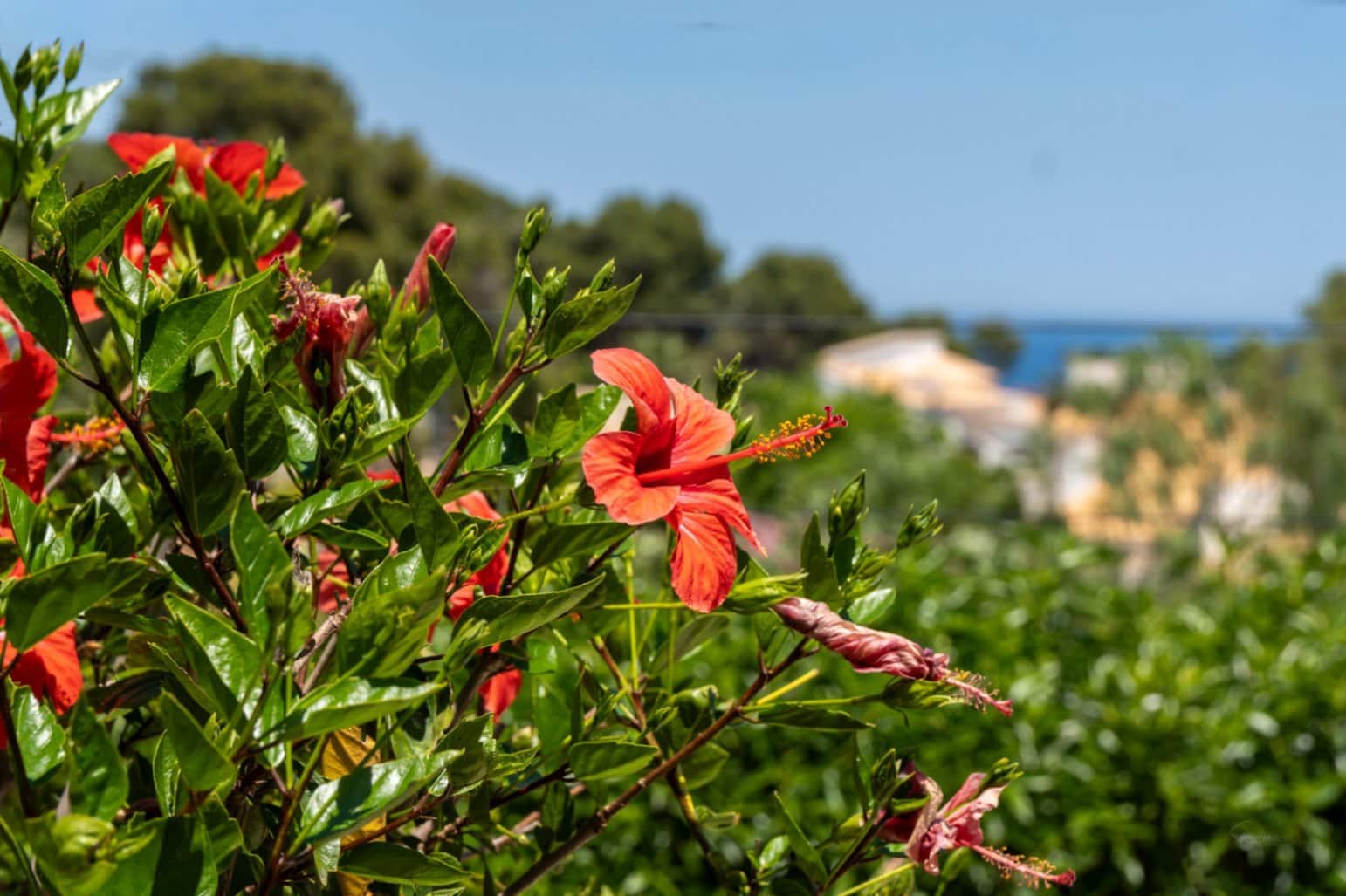 4 soveværelse Villa til salg i Javea / Xabia med swimmingpool garage - € 1.730.000 (Ref: 9997404)