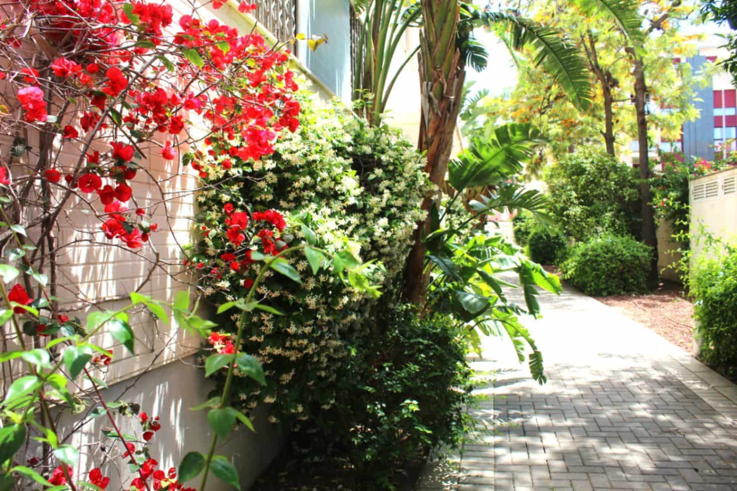 3 soverom Penthouse til salgs i Denia med svømmebasseng garasje - € 685 000 (Ref: 9997415)
