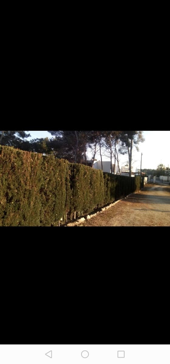 Tontti myytävänä paikassa Moraira - 1 696 800 € (Ref: 9997497)