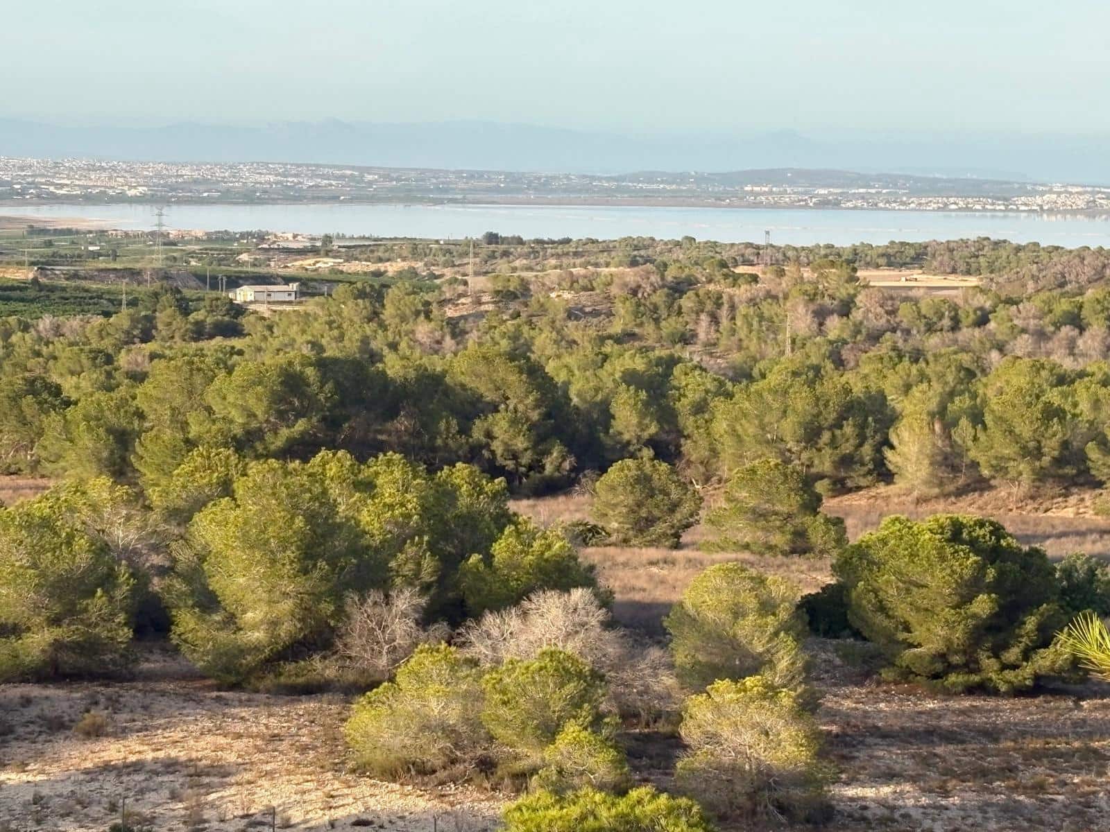 Villa in vendita in San Miguel de Salinas con piscina - 450.000 € (Rif: 10081504)