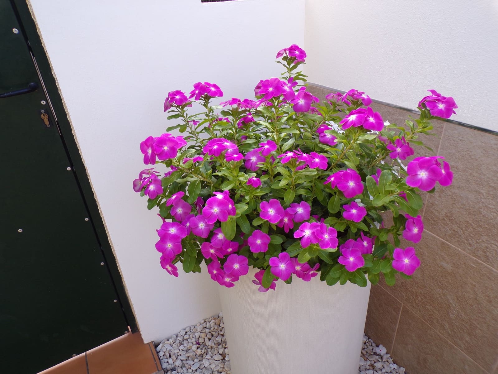 4 camera da letto Villa in vendita in Villamartin con piscina garage - 379.000 € (Rif: 9403757)