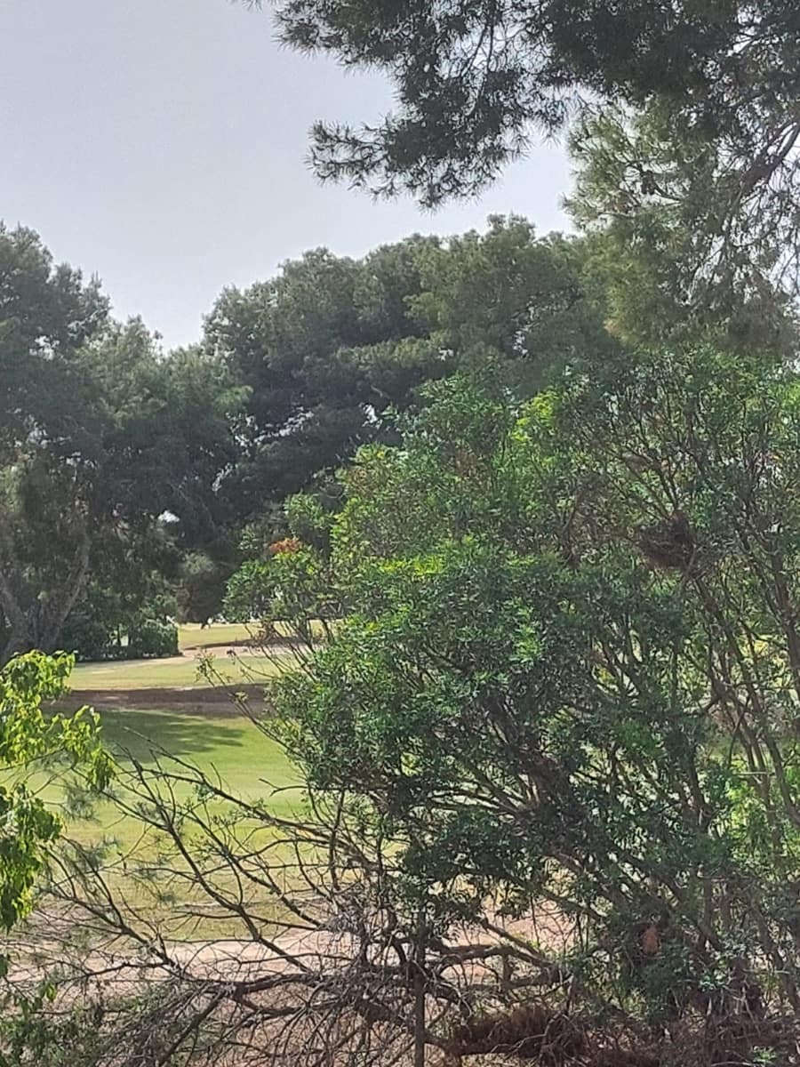 1 makuuhuone Huoneisto myytävänä paikassa Orihuela Costa mukana uima-altaan - 129 995 € (Ref: 9778664)