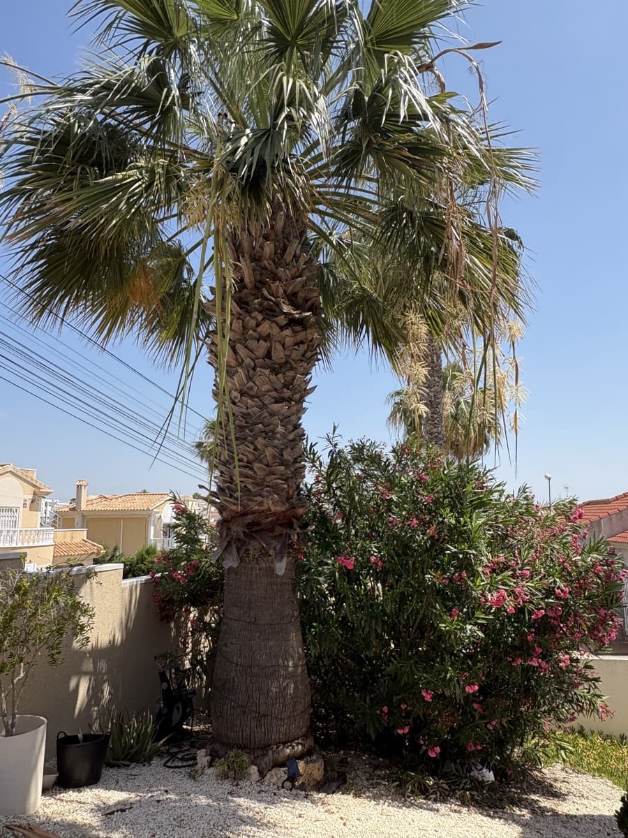 3 soverom Villa til salgs i Orihuela med svømmebasseng garasje - € 385 000 (Ref: 9890643)