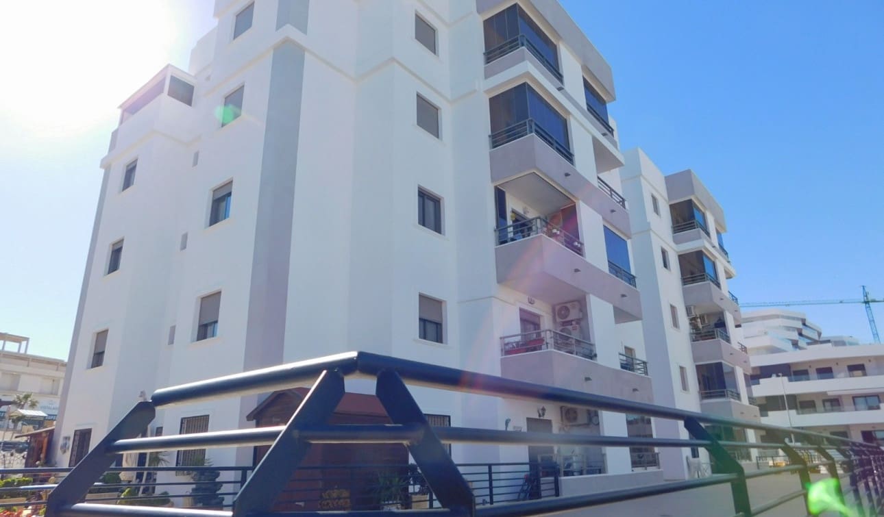 2 soveværelse Lejlighed til leje i San Miguel de Salinas med swimmingpool - € 790 (Ref: 10060643)