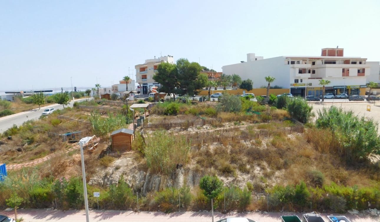 2 soveværelse Lejlighed til leje i San Miguel de Salinas med swimmingpool - € 790 (Ref: 10060643)