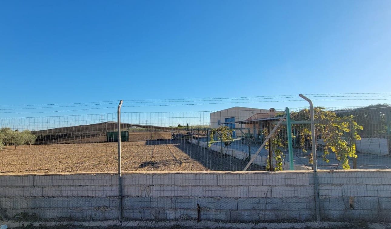 1 soveværelse Finca/Landehus til salg i San Miguel de Salinas med swimmingpool - € 370.000 (Ref: 7941727)