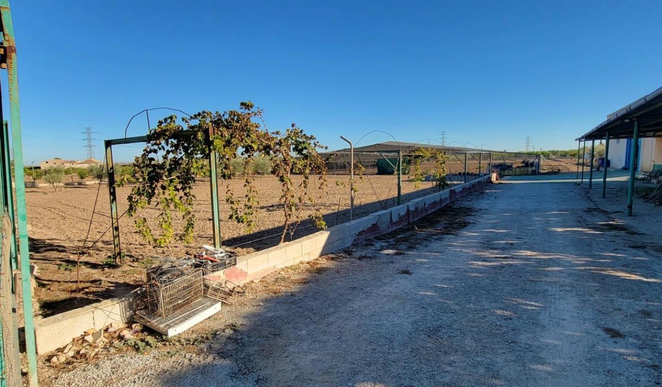 1 soveværelse Finca/Landehus til salg i San Miguel de Salinas med swimmingpool - € 370.000 (Ref: 7941727)