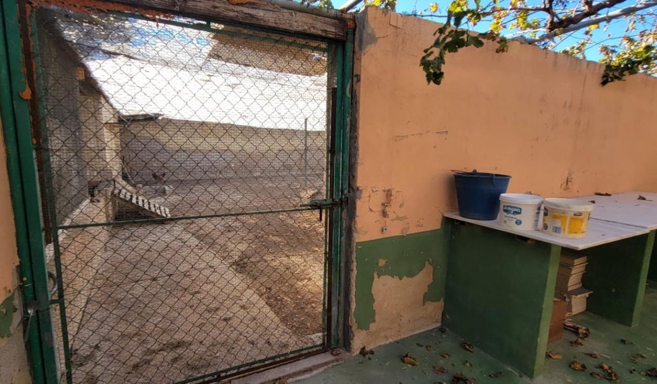 1 soveværelse Finca/Landehus til salg i San Miguel de Salinas med swimmingpool - € 370.000 (Ref: 7941727)