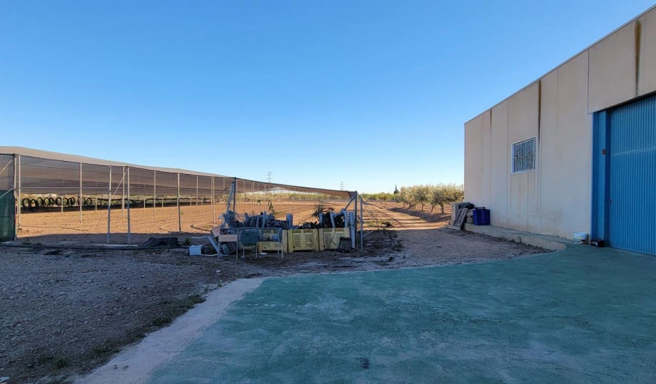 1 soveværelse Finca/Landehus til salg i San Miguel de Salinas med swimmingpool - € 370.000 (Ref: 7941727)