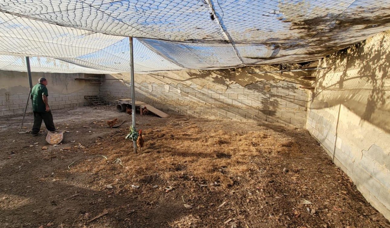 1 soveværelse Finca/Landehus til salg i San Miguel de Salinas med swimmingpool - € 370.000 (Ref: 7941727)