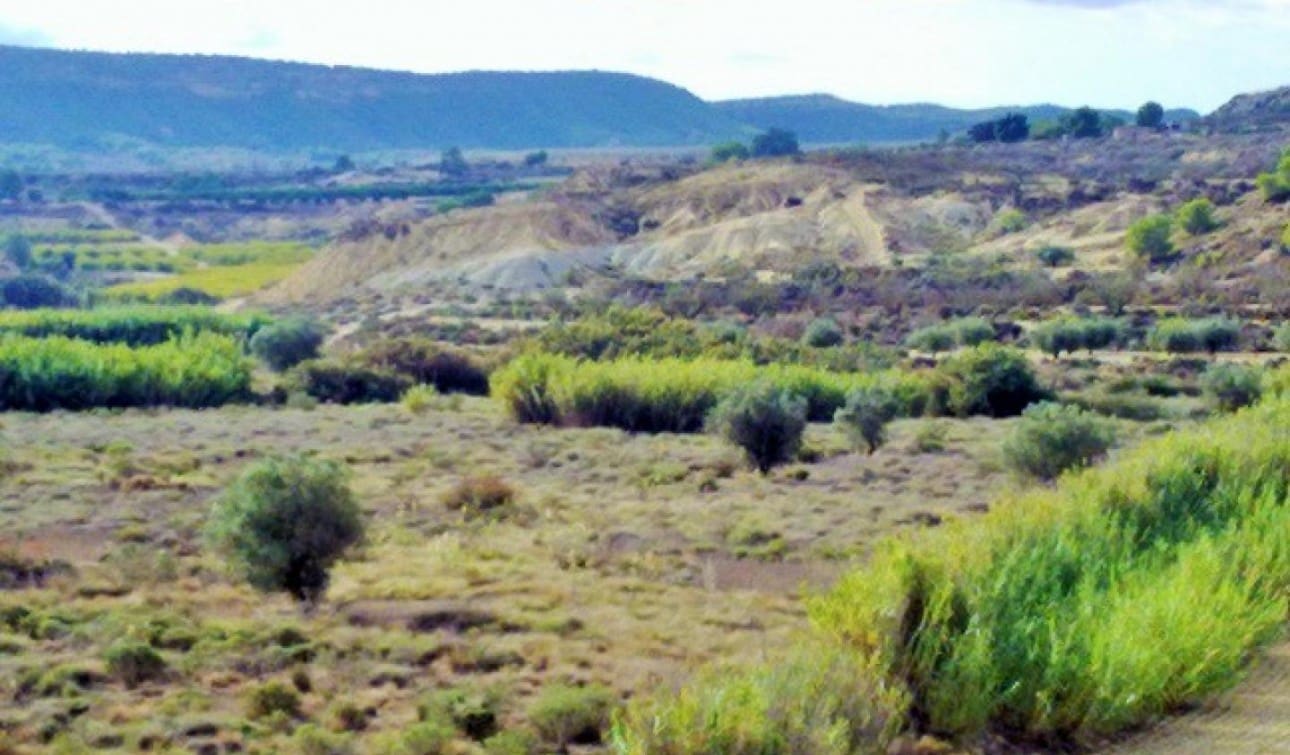 Byggegrund til salg i Torremendo - € 150.000 (Ref: 8277615)