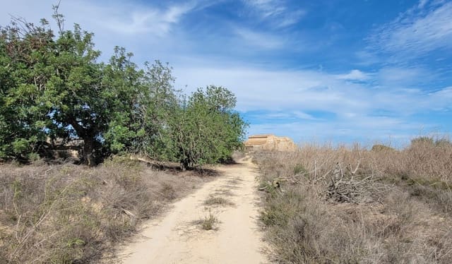 1 camera da letto Finca/Casa di Campagna in vendita in San Miguel de Salinas con piscina - 80.000 € (Rif: 8575434)