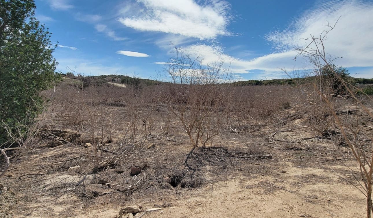 1 camera da letto Finca/Casa di Campagna in vendita in San Miguel de Salinas con piscina - 80.000 € (Rif: 8575434)