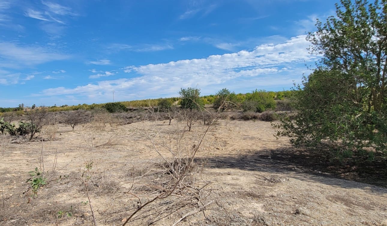 1 camera da letto Finca/Casa di Campagna in vendita in San Miguel de Salinas con piscina - 80.000 € (Rif: 8575434)