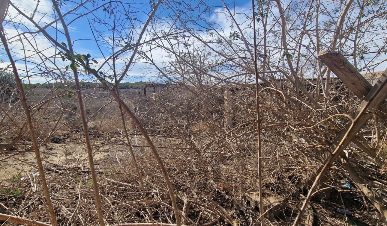 1 camera da letto Finca/Casa di Campagna in vendita in San Miguel de Salinas con piscina - 80.000 € (Rif: 8575434)