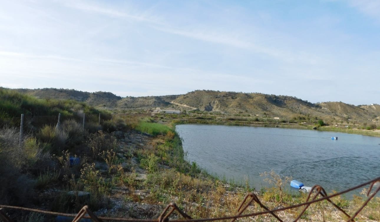 Teren niezagospodarowany na sprzedaż w Torremendo - 127 000 € (Ref: 9258041)