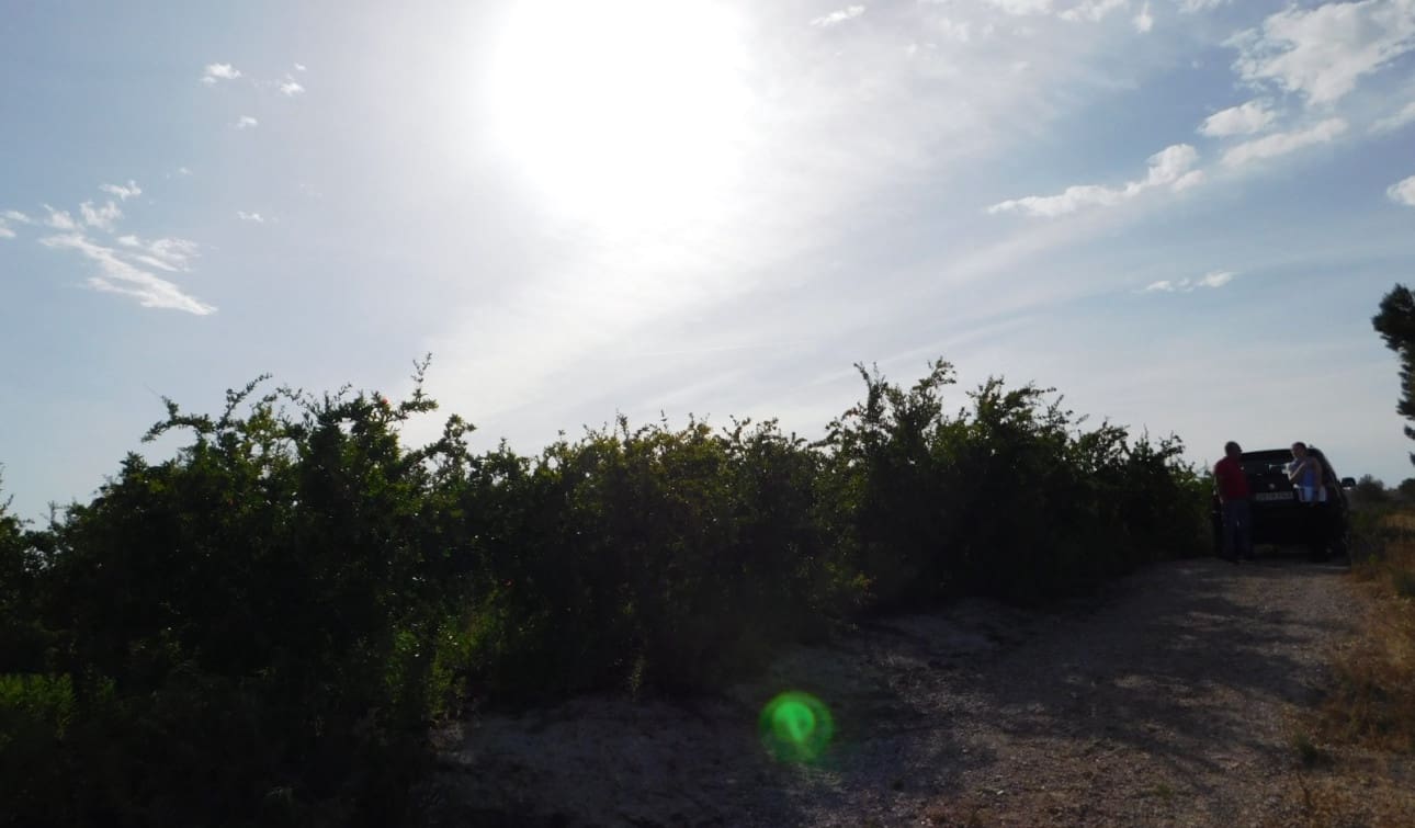 Rakentamaton maa myytävänä paikassa Torremendo - 235 000 € (Ref: 9258042)