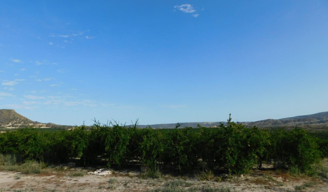 Rakentamaton maa myytävänä paikassa Torremendo - 235 000 € (Ref: 9258042)