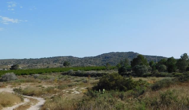 Undeveloped Land for sale in Torremendo, Orihuela - € 235,000 (Ref: 9258042)