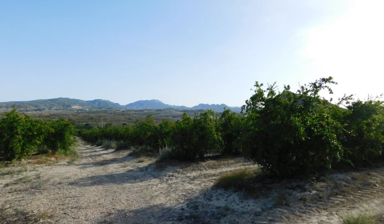 Rakentamaton maa myytävänä paikassa Torremendo - 235 000 € (Ref: 9258042)